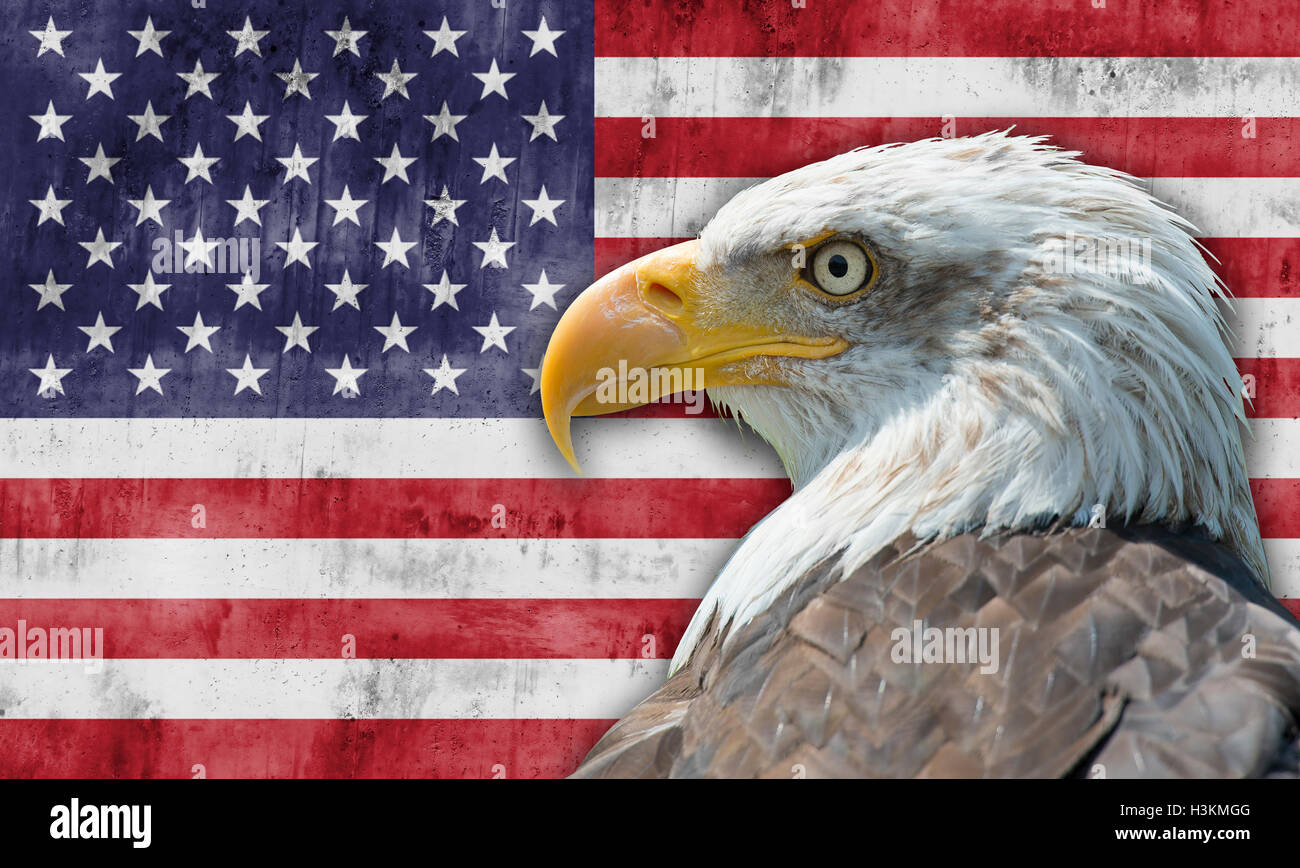 Bandiera degli Stati Uniti d'America con l'aquila calva Foto Stock