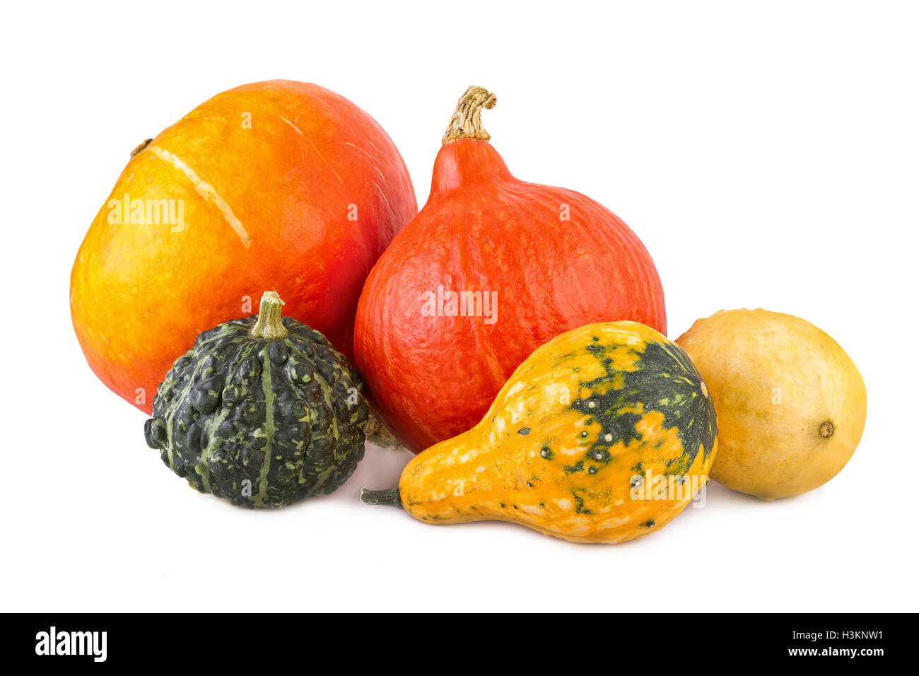 Zucche colorato assortimento di squash vari coloquintidi ornamentali in Foto Stock