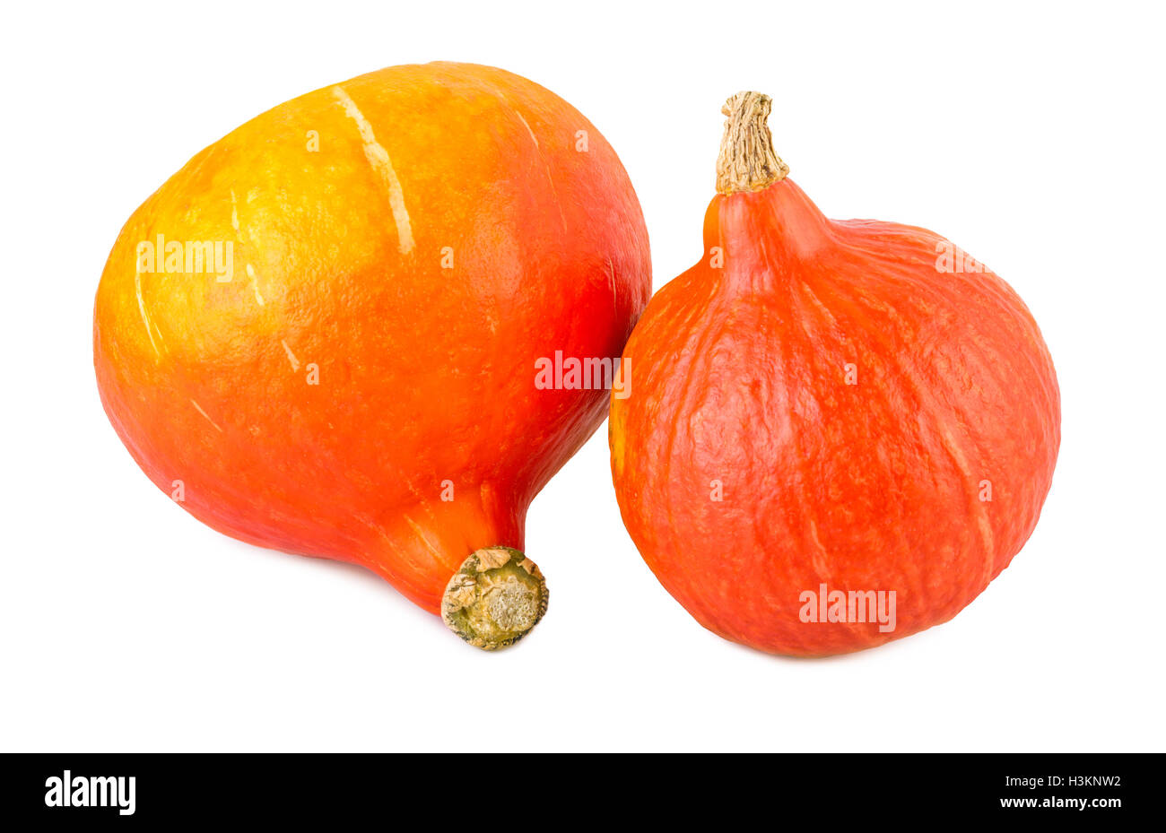Le zucche kuri rosso hokkaido isolato su bianco Foto Stock