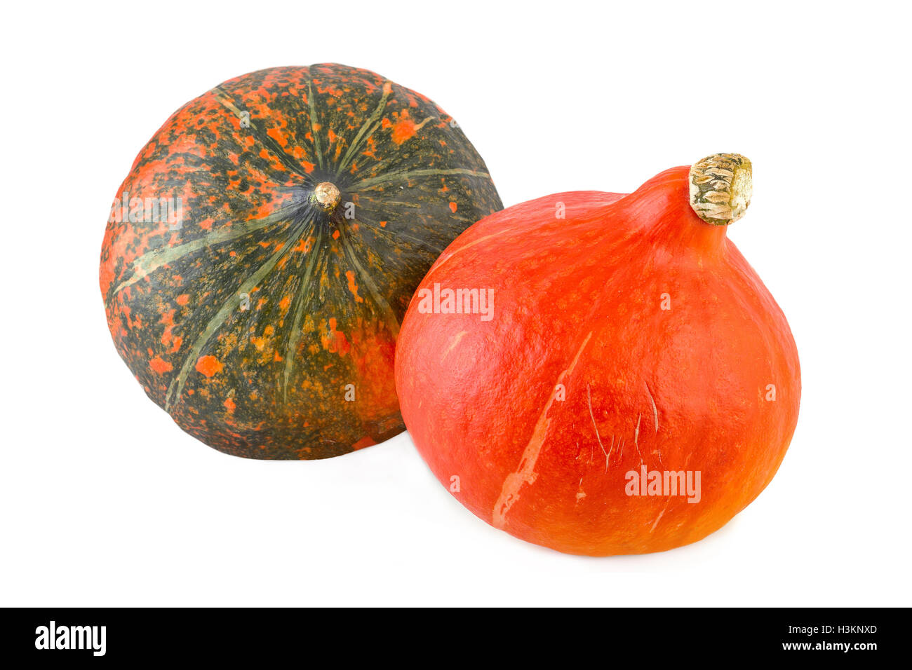 Hokkaido squash su sfondo bianco Foto Stock