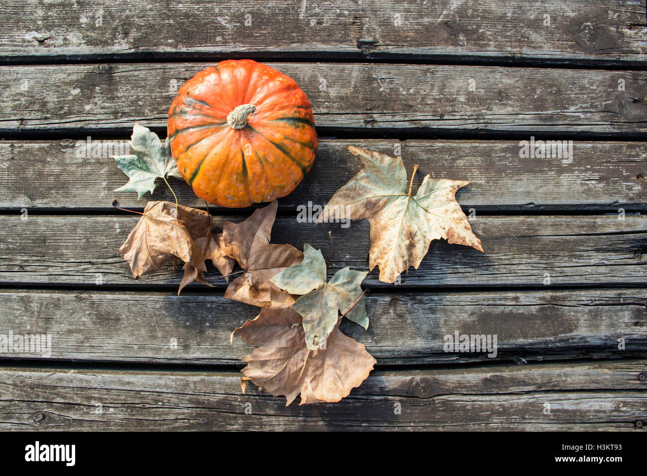 A Belgrado, in Serbia - zucca e foglie su un weathered superficie in legno Foto Stock