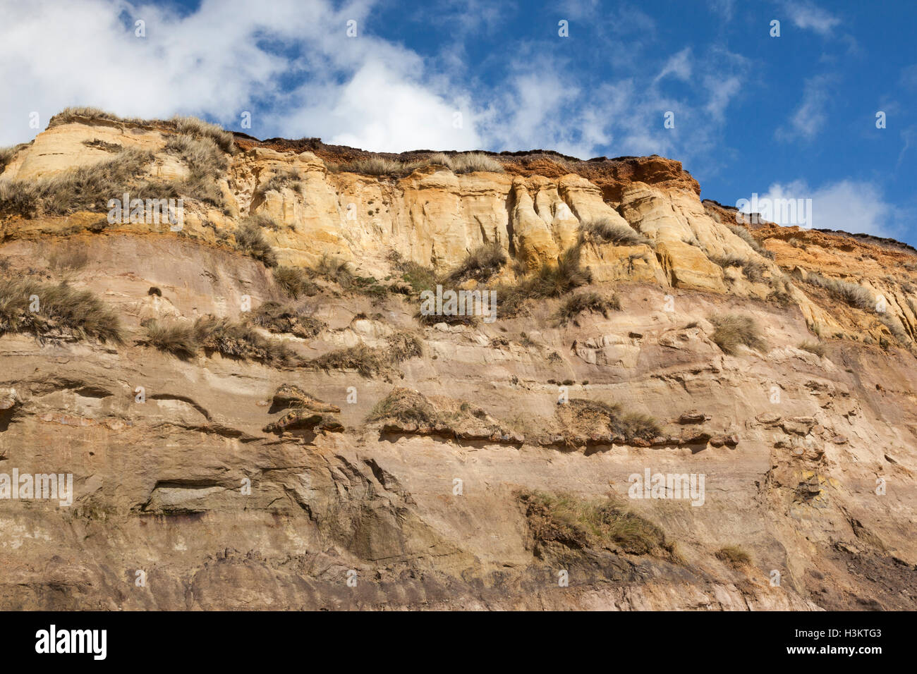 Cliff-face, Hengistbury Head, Dorset, Inghilterra, Regno Unito Foto Stock
