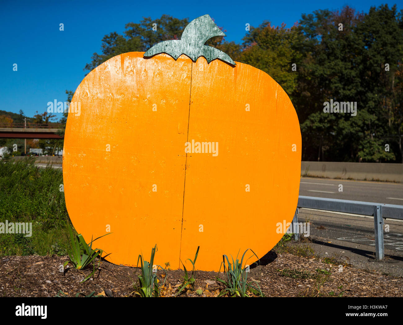 Segno di zucca in un mercato di fattoria Foto Stock