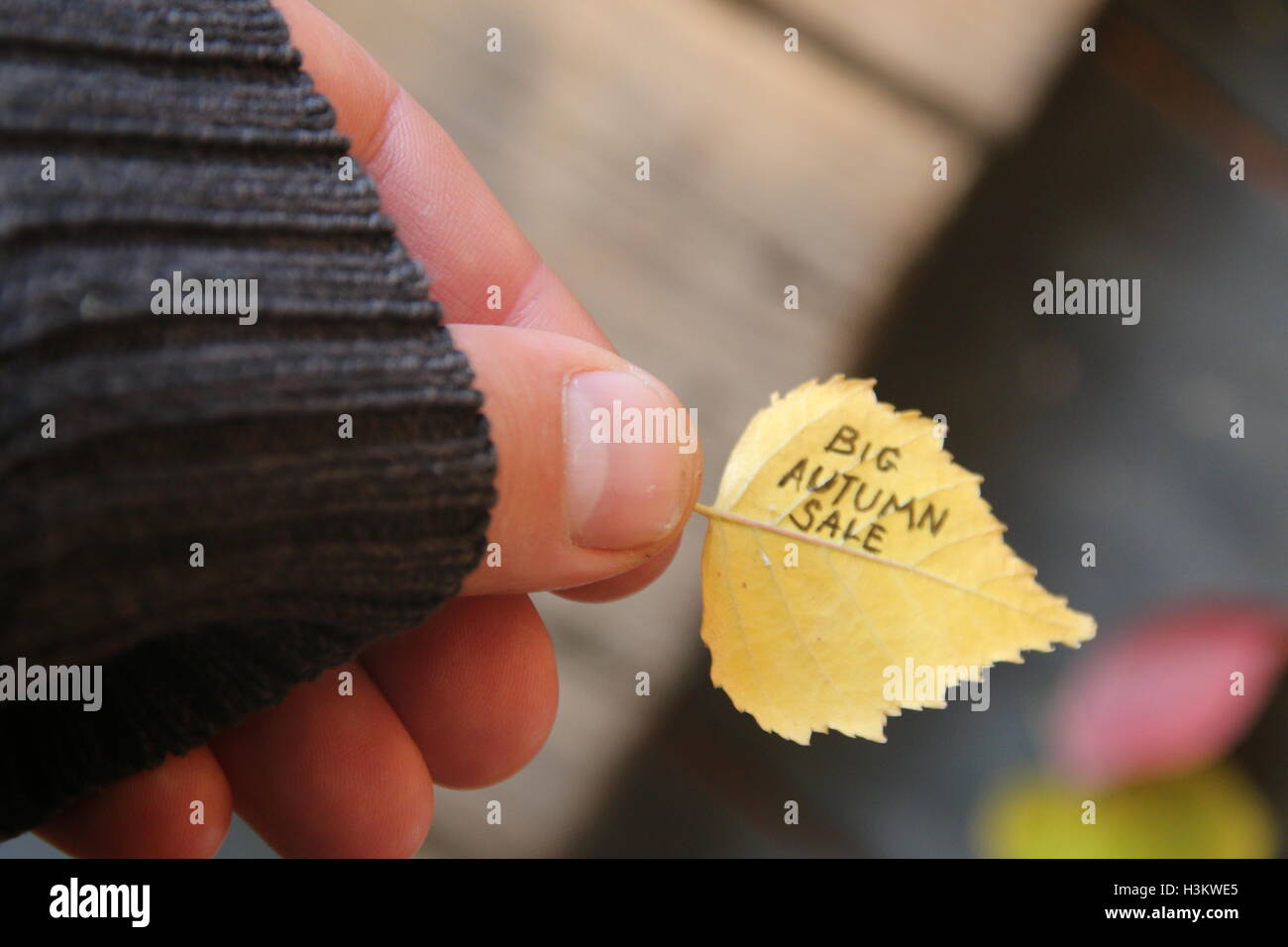 Grande vendita autunnale. Soft focus. Foto Stock