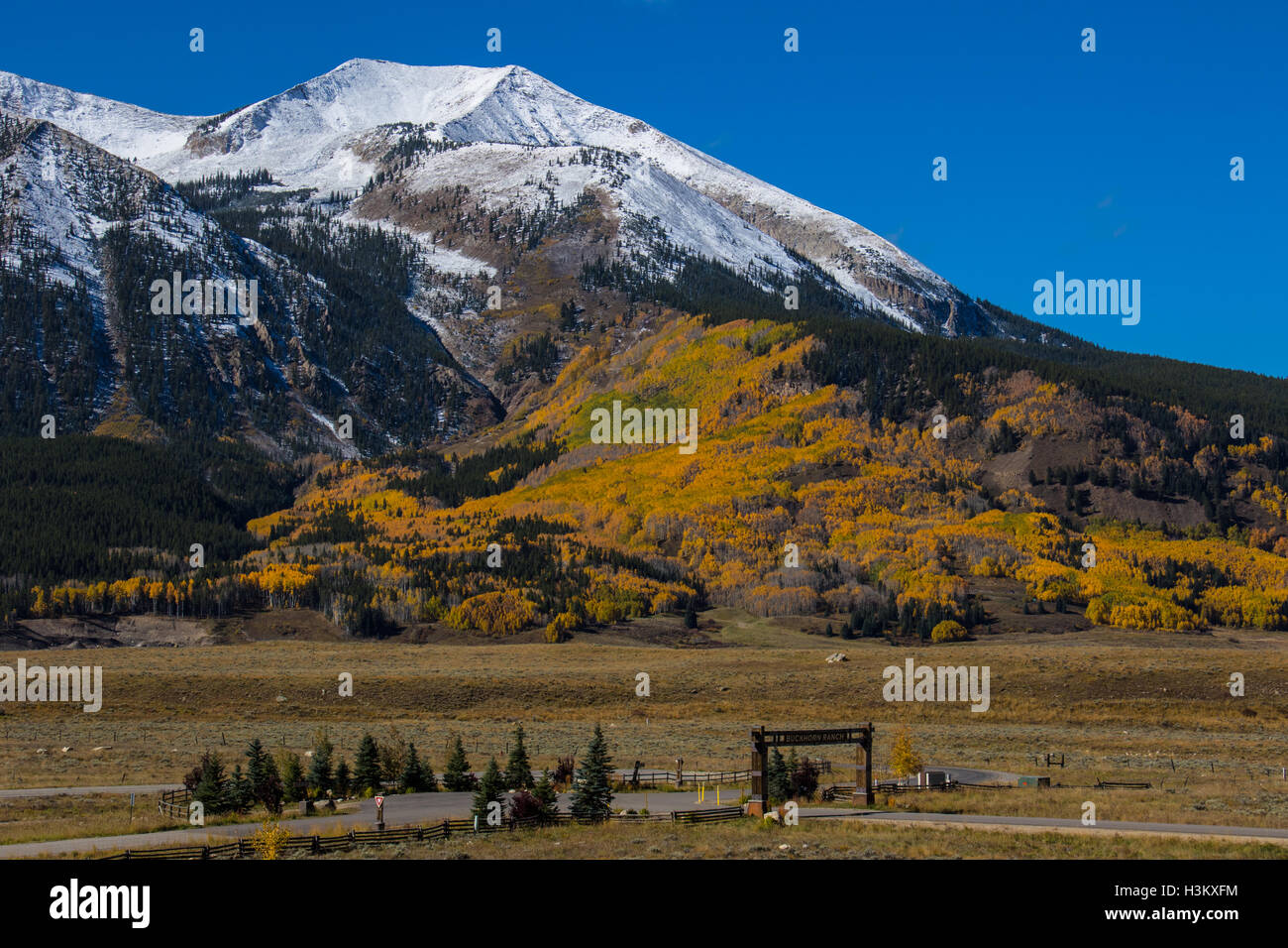 Colori autunnali nei pressi di Crested Butte Foto Stock