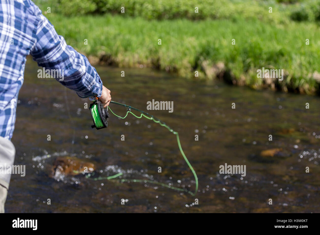 WY01049-00...WYOMING - Kimberly Petts pesca a mosca il Brooks Lake Creek nei pressi di Dubois. (MR# P10) Foto Stock
