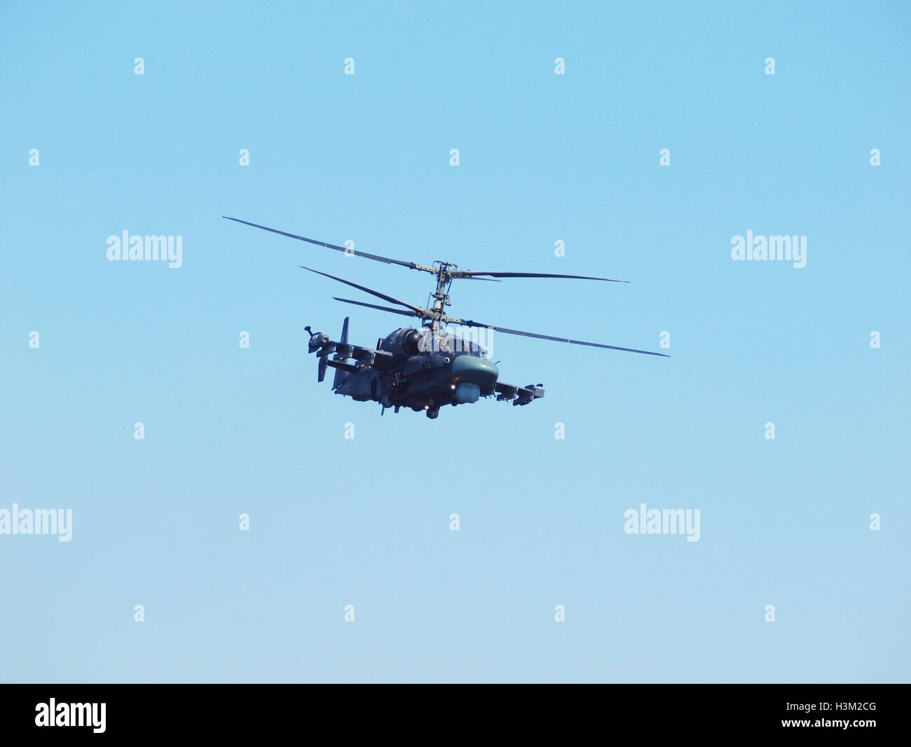 Kamov Ka-52 Alligator (nome in codice NATO: Hokum B) attacco elicottero della forza aerea russa al campo di tiro. Elicottero di attacco che esegue la dimostrazione Foto Stock