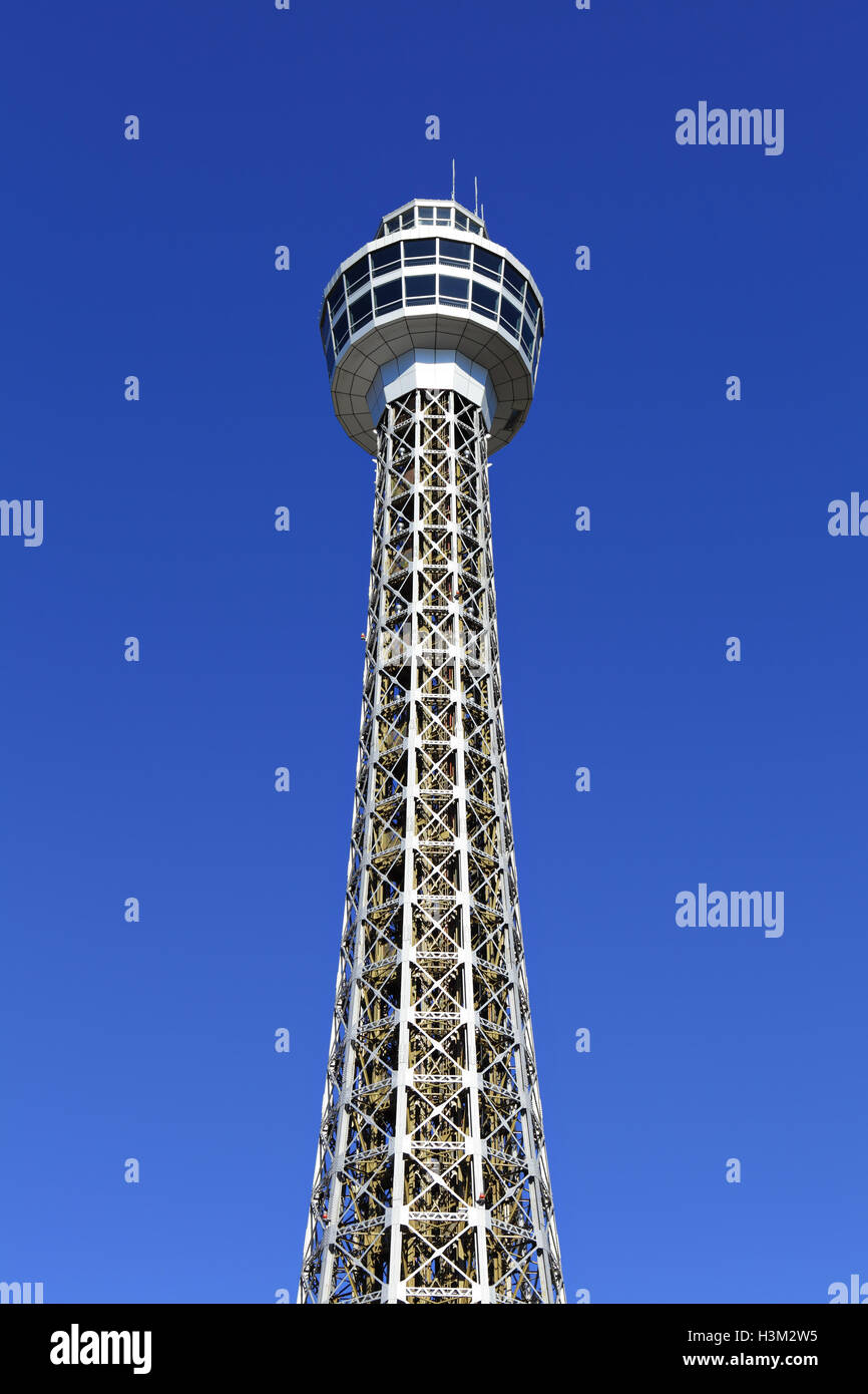 Albero del cielo di Tokyo Foto Stock