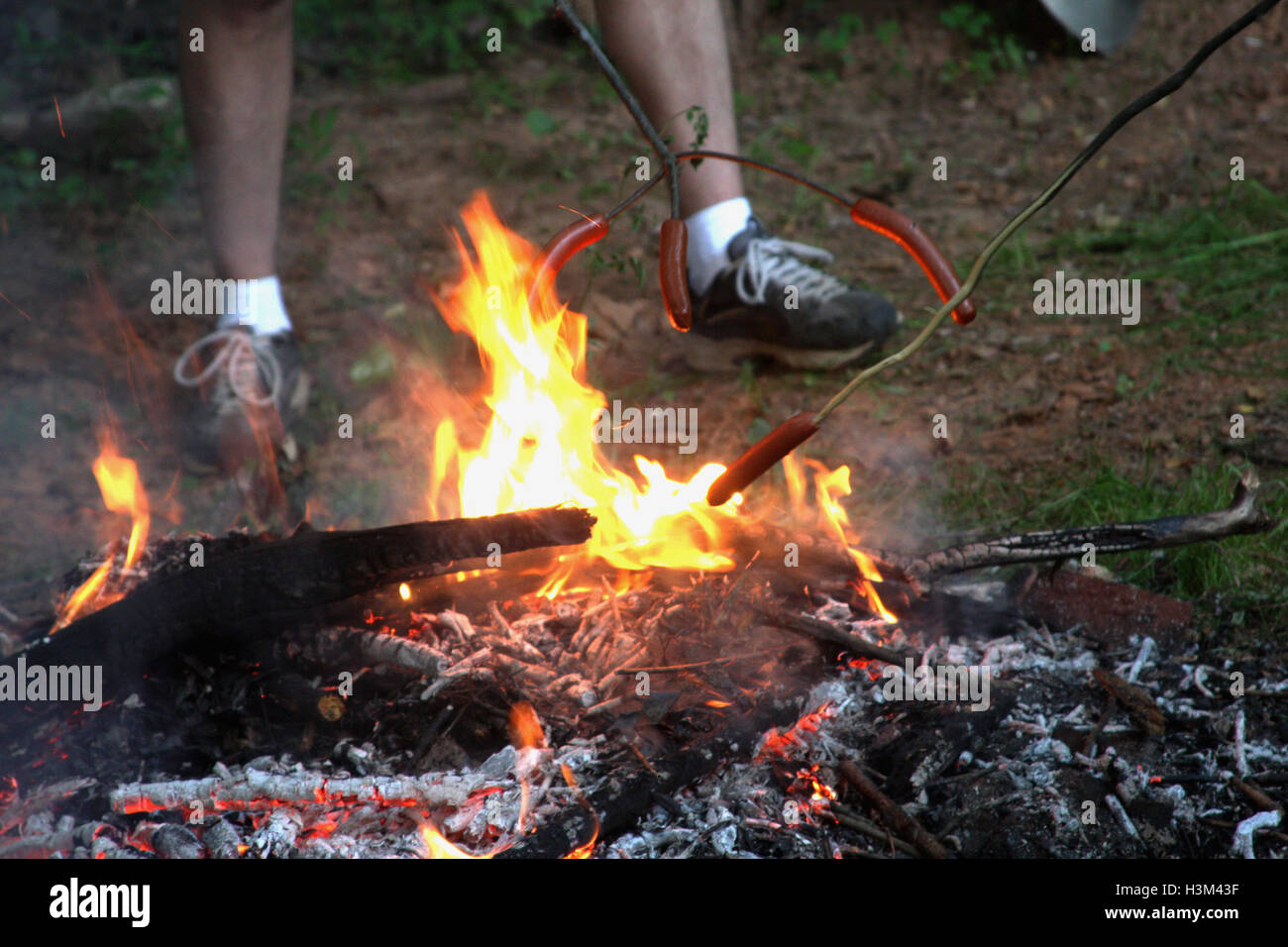 La tostatura hot dogs al campo di fuoco Foto Stock