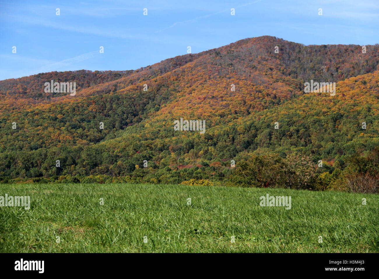 Caduta del paesaggio in Blue Ridge Mountains, Virginia Foto Stock