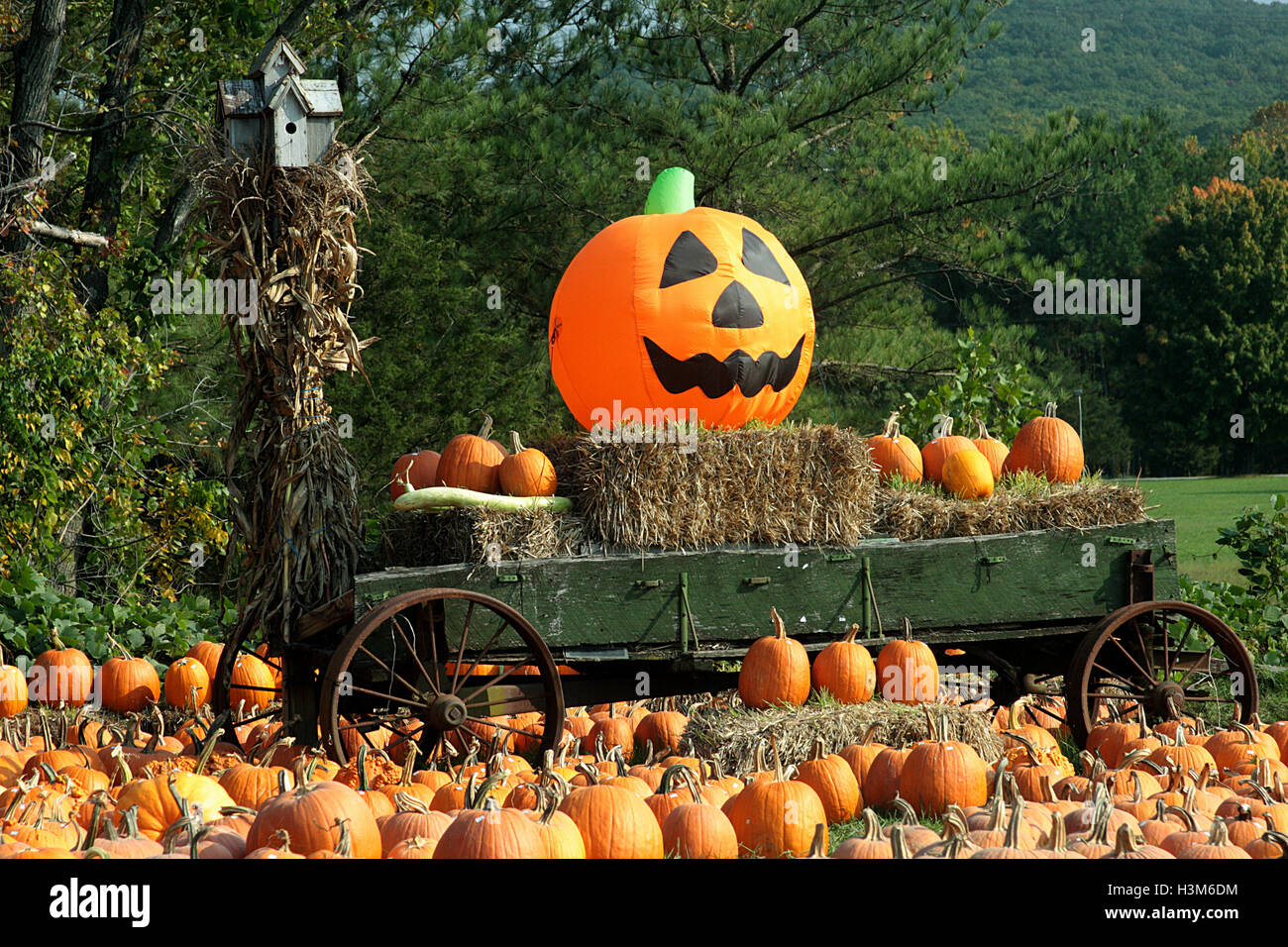 Outdoor vendita di zucca, con grande gonfiabile di zucca Foto Stock
