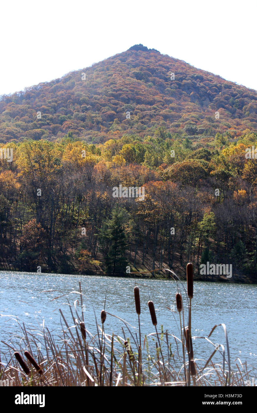 Virginia, Stati Uniti d'America. Vista del lago di Abbott e Sharp Top in autunno. Foto Stock