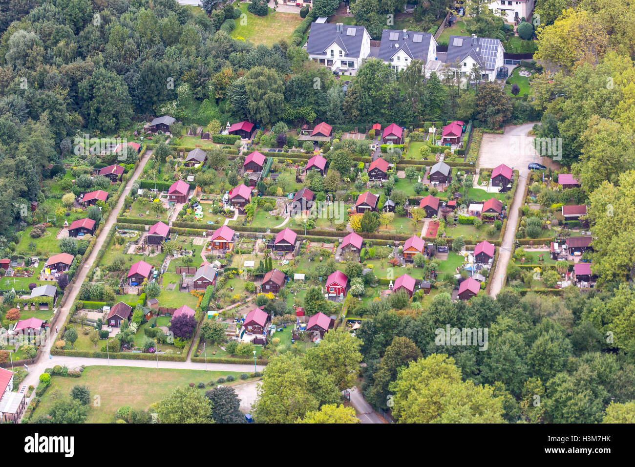 Veduta aerea di piccoli giardini privati e non per vivere solo per il giardinaggio, piante, verdure, svago, Essen, Germania Foto Stock