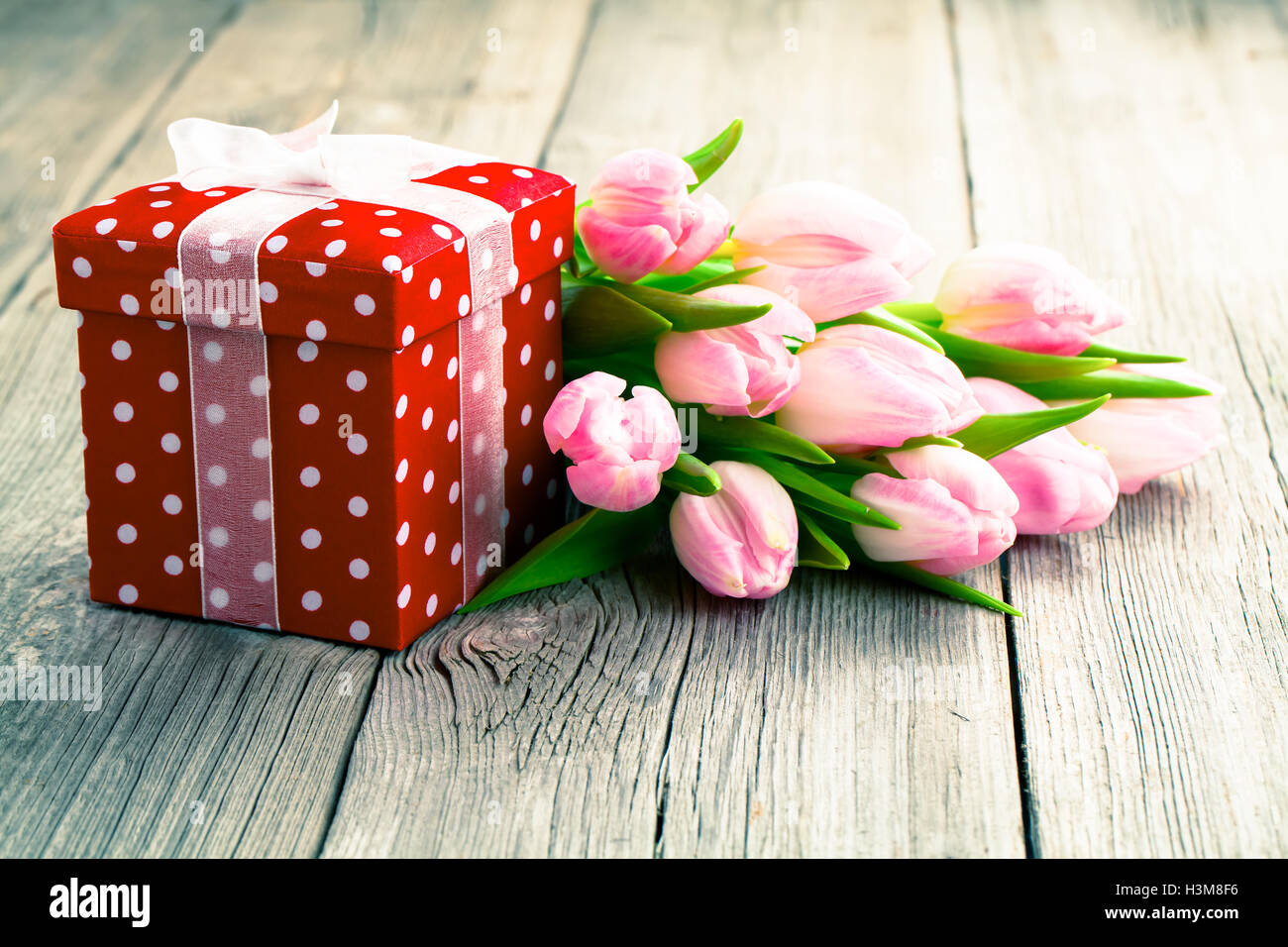 Bellissimi i tulipani con red polka-dot confezione regalo. felice festa della mamma, Foto Stock