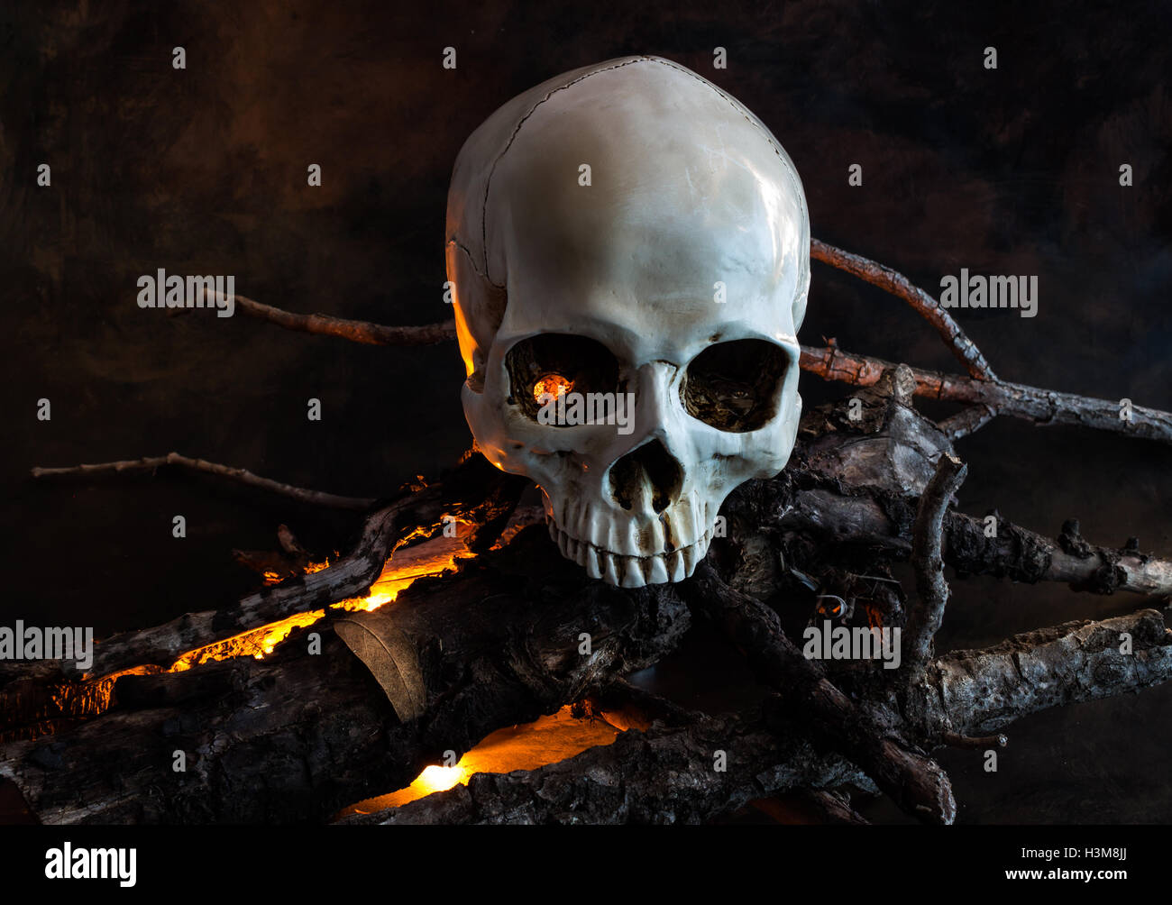 Halloween teschio umano con fuoco di legno Foto Stock