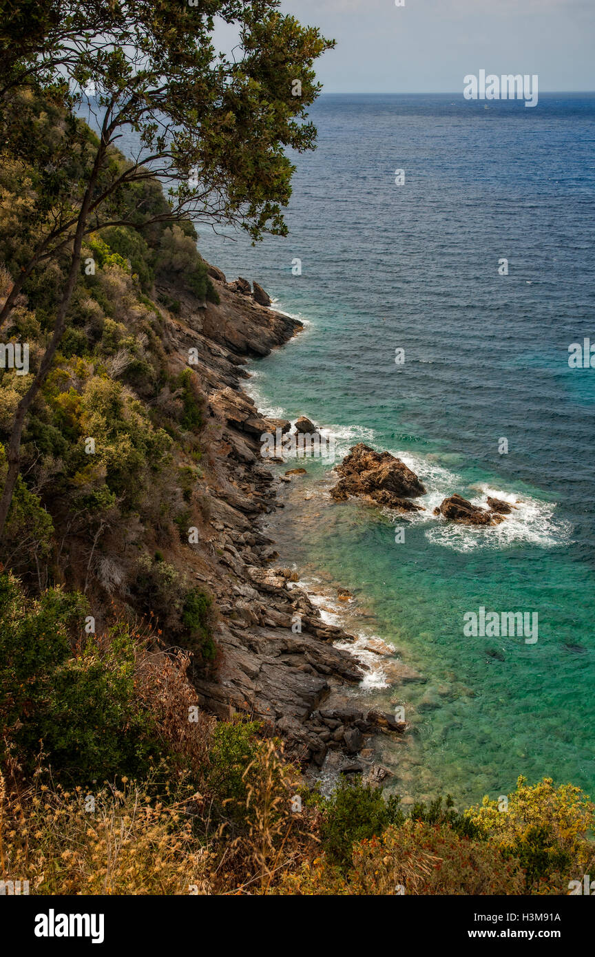 Costa dell'isola d'Elba italiano Foto Stock