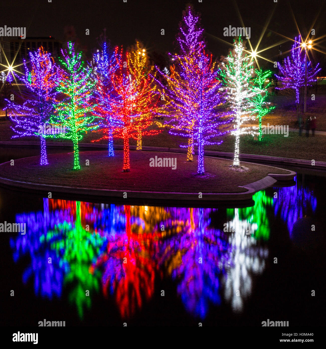 Un orientamento quadrati di centinaia di alberi sono coperti con colorate luci di Natale e riflessa sulla superficie di questo laghetto. Foto Stock