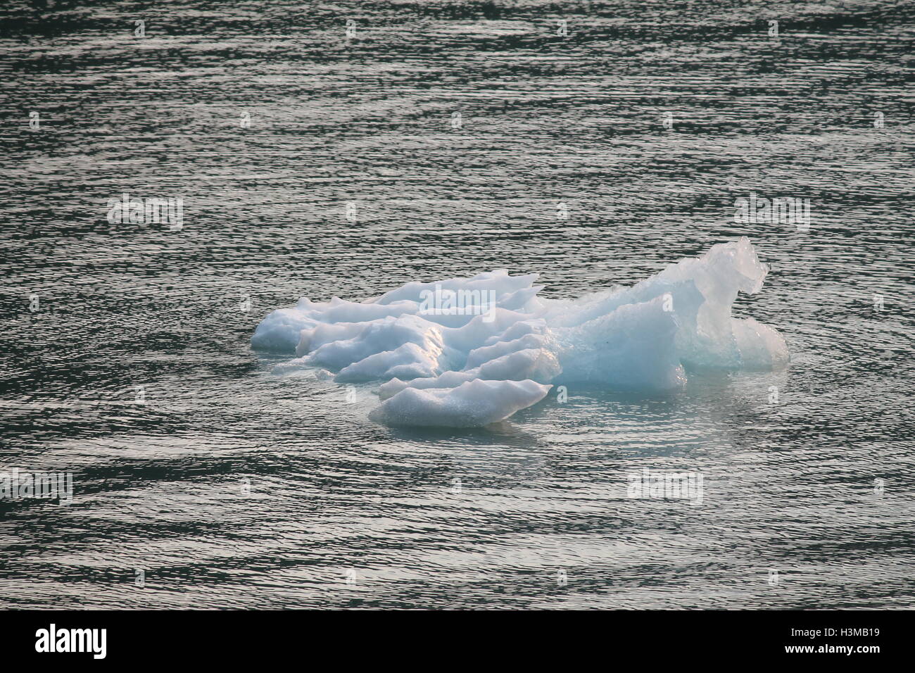 Glacier Ice fluttuanti a Tracy Arm Fjord, Alaska. Foto Stock