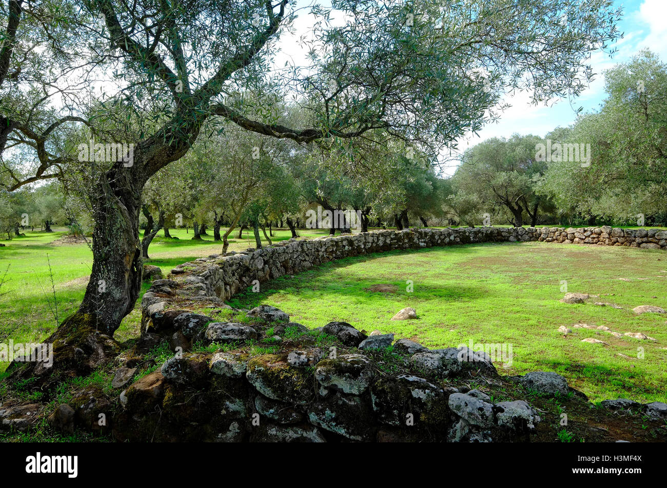 Santa cristina, Sardegna, Italia Foto Stock