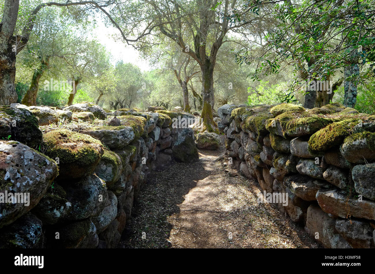 Santa cristina, Sardegna, Italia Foto Stock