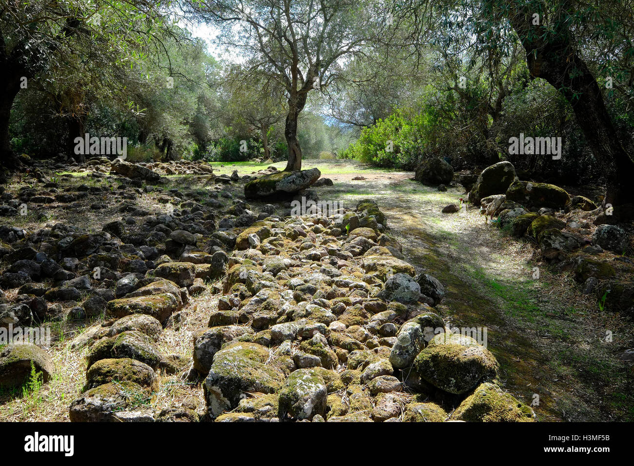 Santa cristina, Sardegna, Italia Foto Stock