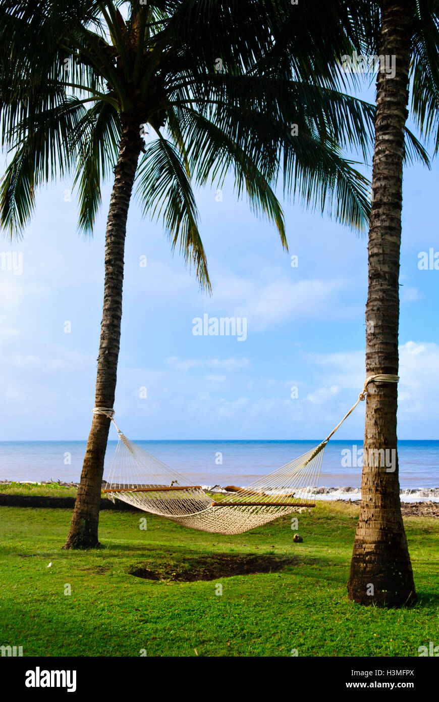 Amaca appesa tra due palme, Waimea, isola di Kauai Hawai'i Foto Stock