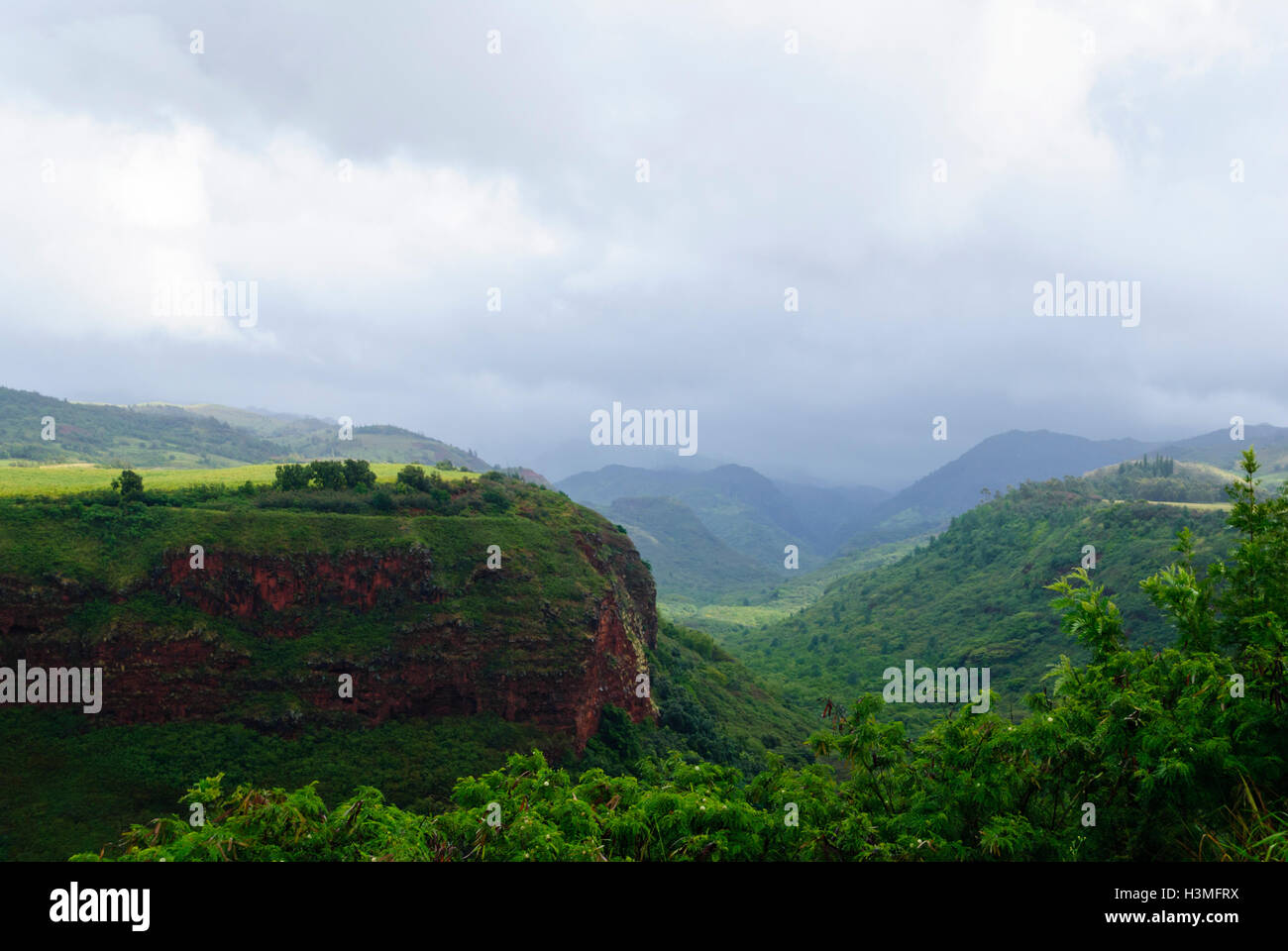 Lussureggiante paesaggio verde sull isola di Kauai Hawaii USA Foto Stock
