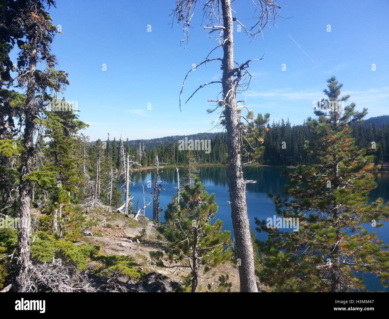 Carl lago, una scogliera lago nel Mt. Jefferson deserto Foto Stock