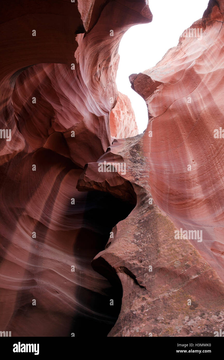 Tomaia Antelope Canyon, Pagina, Arizona, Stati Uniti d'America Foto Stock