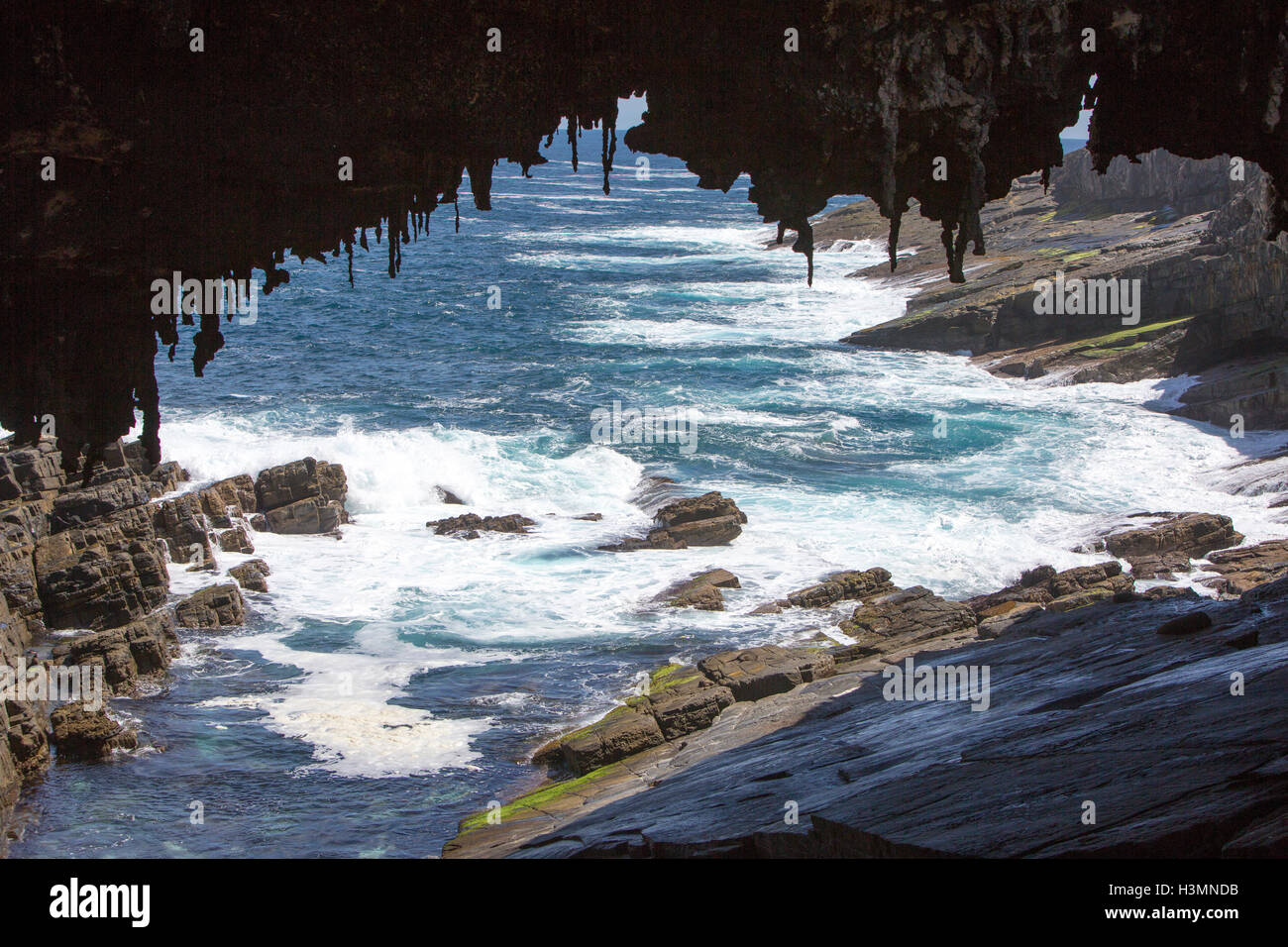 Admirals Arch Rock funzione, Cape du Couedic nel Parco Nazionale di Flinders Chase, Kangaroo Island,Sud Australia Foto Stock