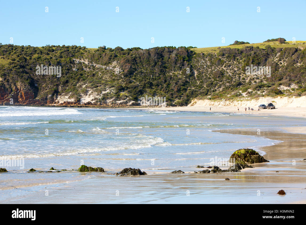Spiaggia di Snelling sulla costa settentrionale dell'isola di Kangaroo, Australia meridionale, Australia con un tratto di costa sabbiosa Foto Stock