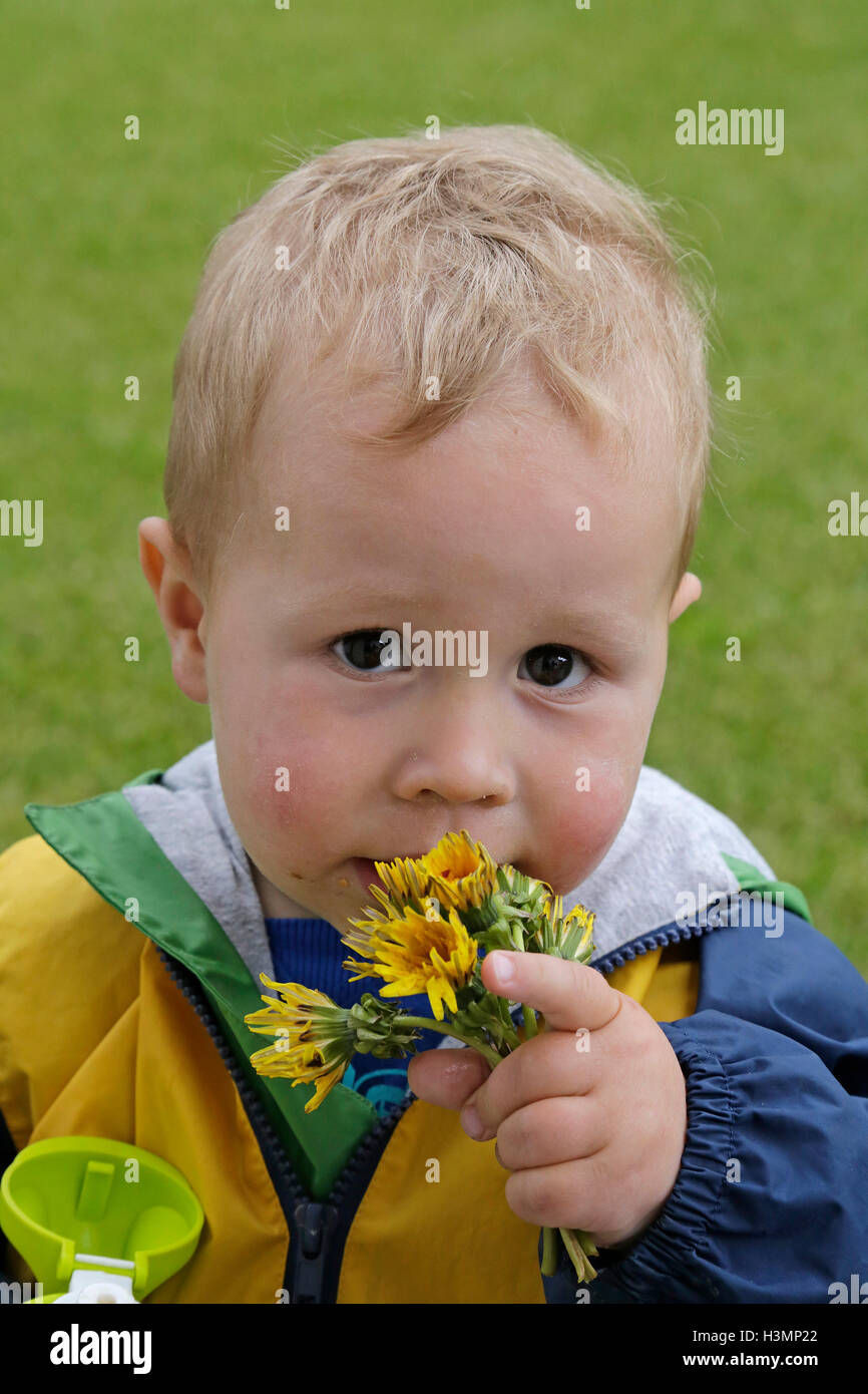 Ritratto di un ragazzino con fiori Foto Stock