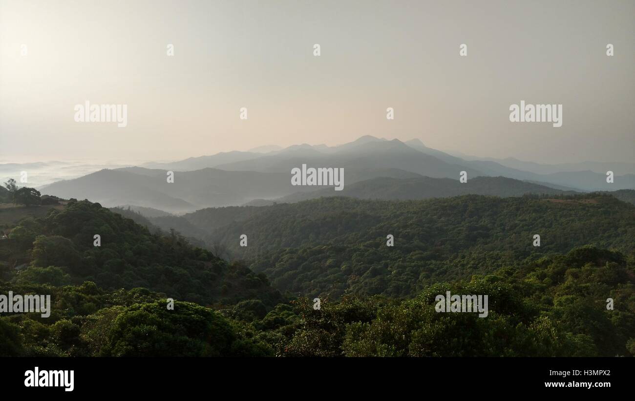 Una bellissima collina stazione e una densa foresta nell India meridionale (Coorg) Foto Stock