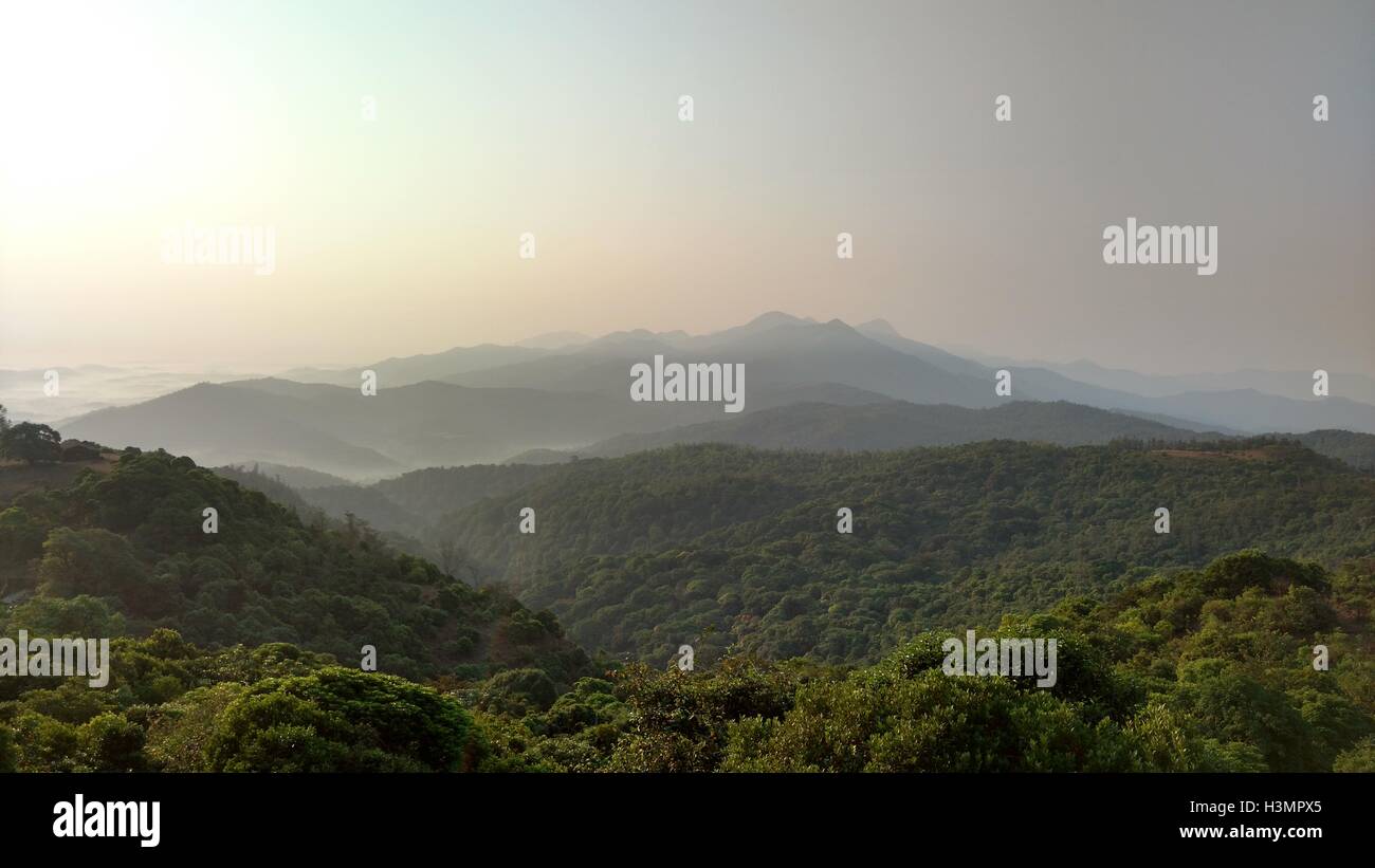 Una bellissima collina stazione e una densa foresta nell India meridionale (Coorg) Foto Stock
