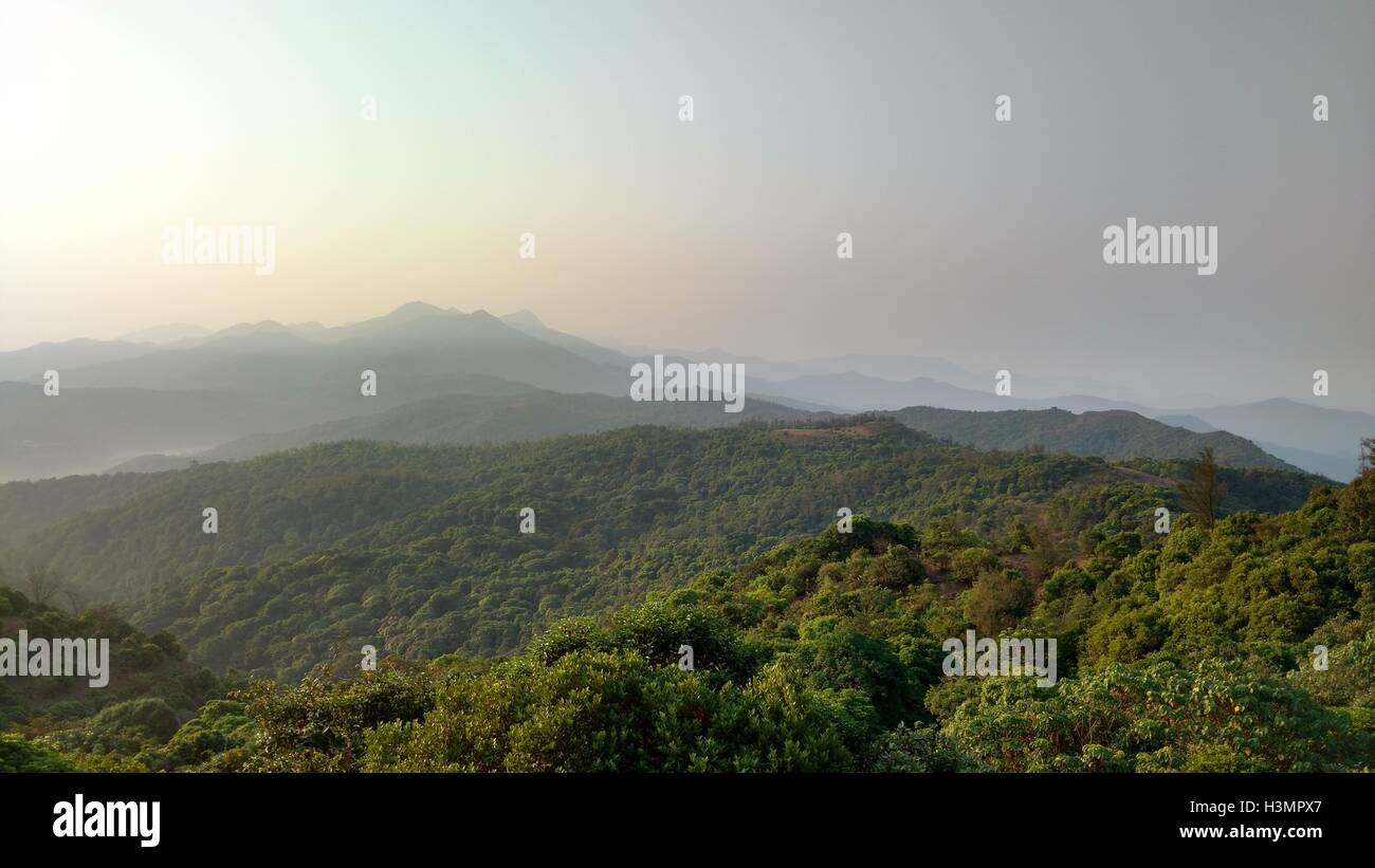 Una bellissima collina stazione e una densa foresta nell India meridionale (Coorg) Foto Stock