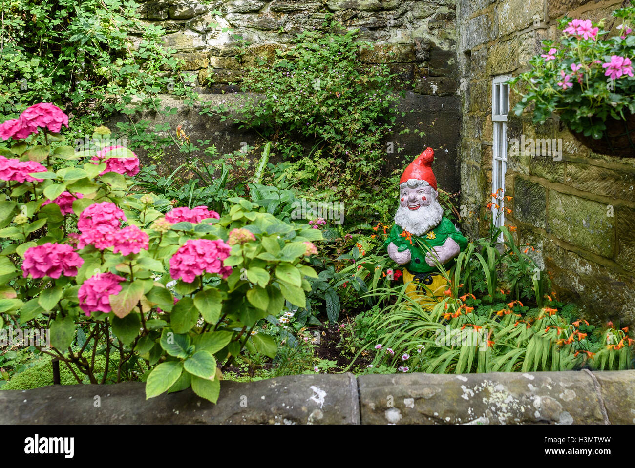 Gnomo da giardino in un giardino cottage. Foto Stock