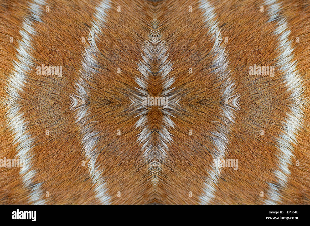 pelle di daino Foto stock - Alamy