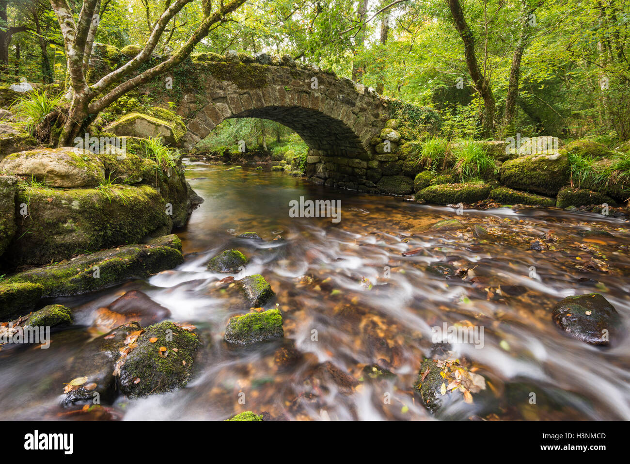 Ponte Hisley, Dartmoor Devon, Regno Unito. 11 ottobre 2016. Regno Unito Meteo. Primi segni di colori autunnali a Hisley ponte che si trova nel ponte Hisley riserva naturale sul fiume Bovey vicino Lustleigh. Hisley Bridge è un pack horse ponte che è stato usato per molti anni al link Manaton Lustleigh e con le aziende della zona. Esso è mostrato sulla decima Mappa di 1840's ma rischia di essere molto più vecchio. Immagine: Graham Hunt/Alamy Live News Foto Stock