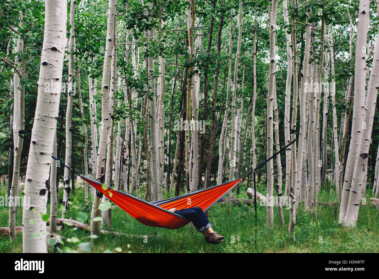 Escursionista maschio rilassante in amaca in foresta, Prato Lockett, Arizona, Stati Uniti d'America Foto Stock
