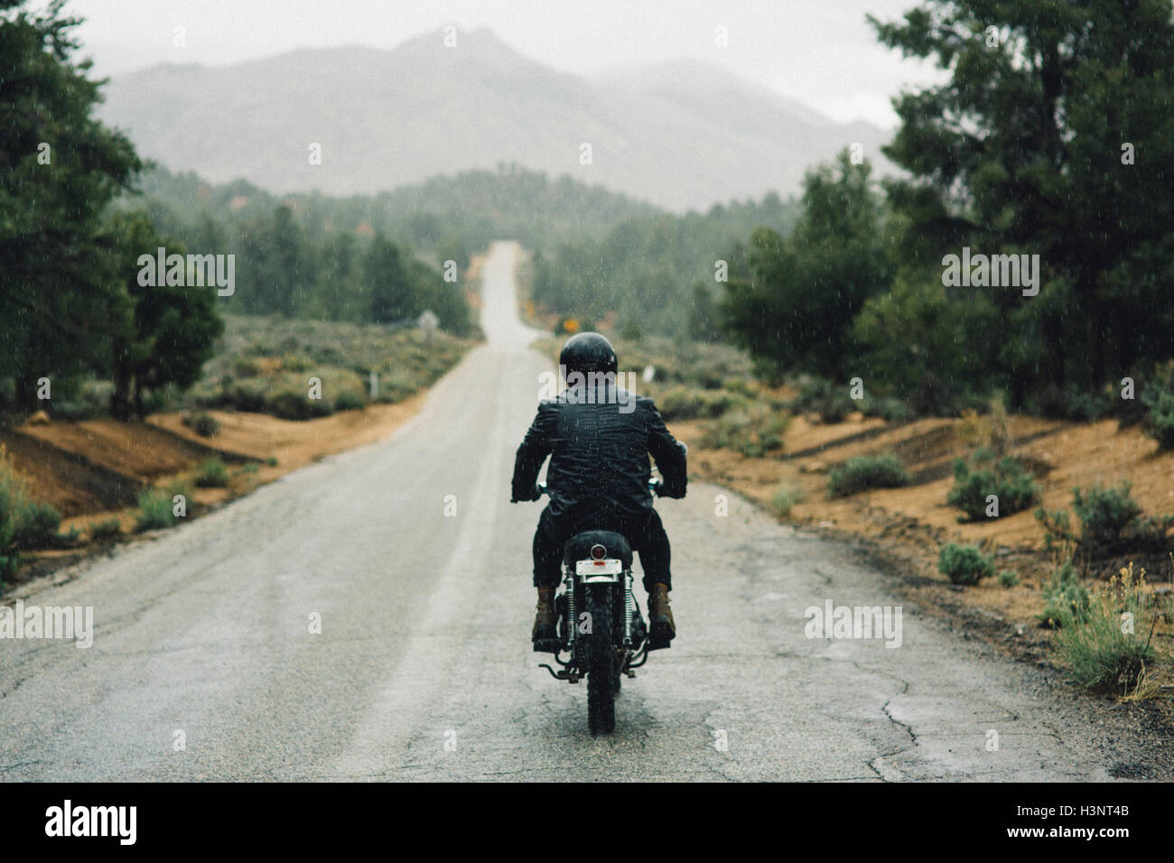 Vista posteriore del motociclista in sella moto su strada aperta, Kennedy Prati, CALIFORNIA, STATI UNITI D'AMERICA Foto Stock