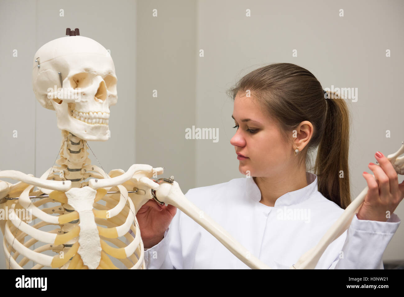 Giovani donne medico lavora in laboratorio con scheletro Foto Stock Giovani donne medico lavora in laboratorio con scheletro Foto Stock
