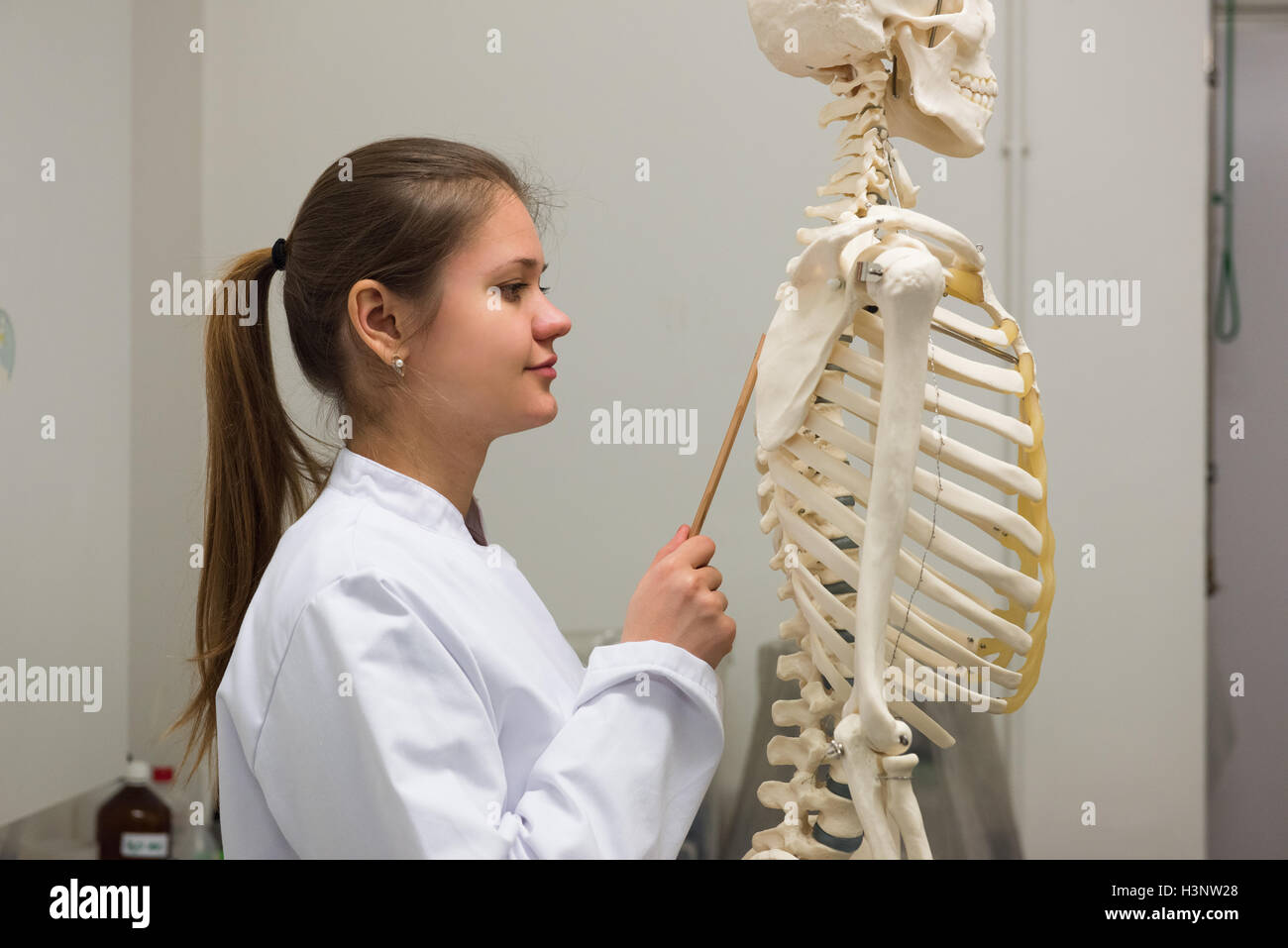 Giovani donne medico lavora in laboratorio con scheletro Foto Stock