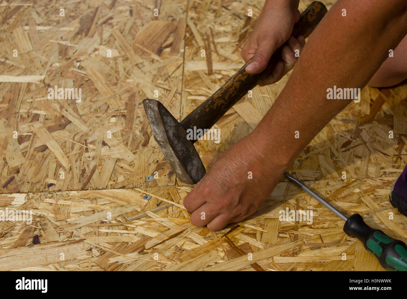 Un chiodo essendo piantato nel legno, uomini al lavoro. Foto Stock