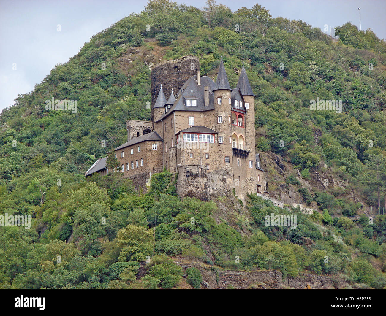 Katz castello come si vede dal Fiume Reno Foto Stock