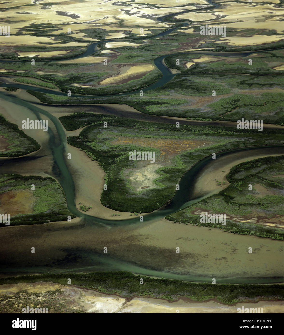 McArthur River vicino al suo delta, Foto Stock