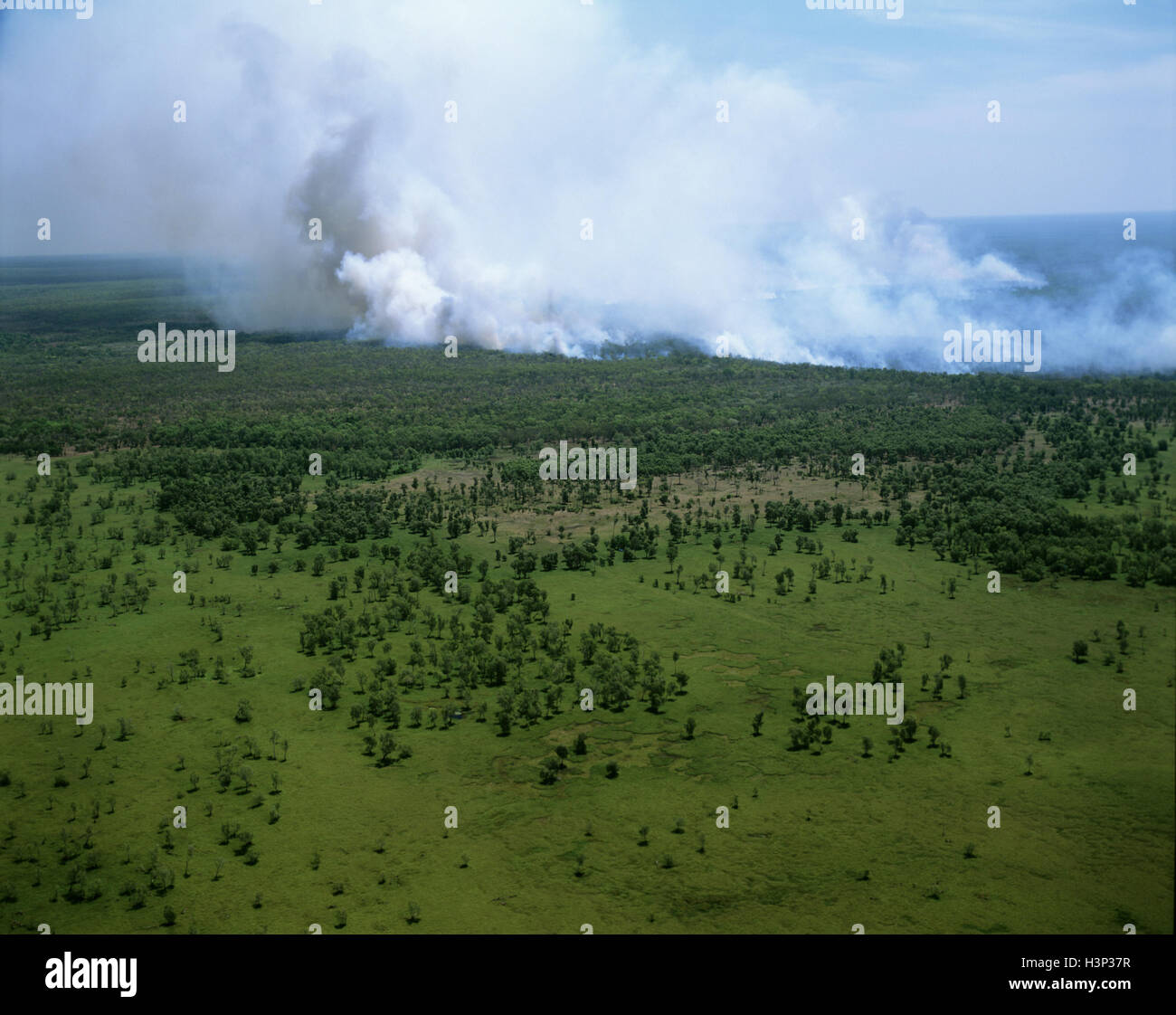 Bushfire illuminato da aborigeni durante la stagione secca Foto Stock