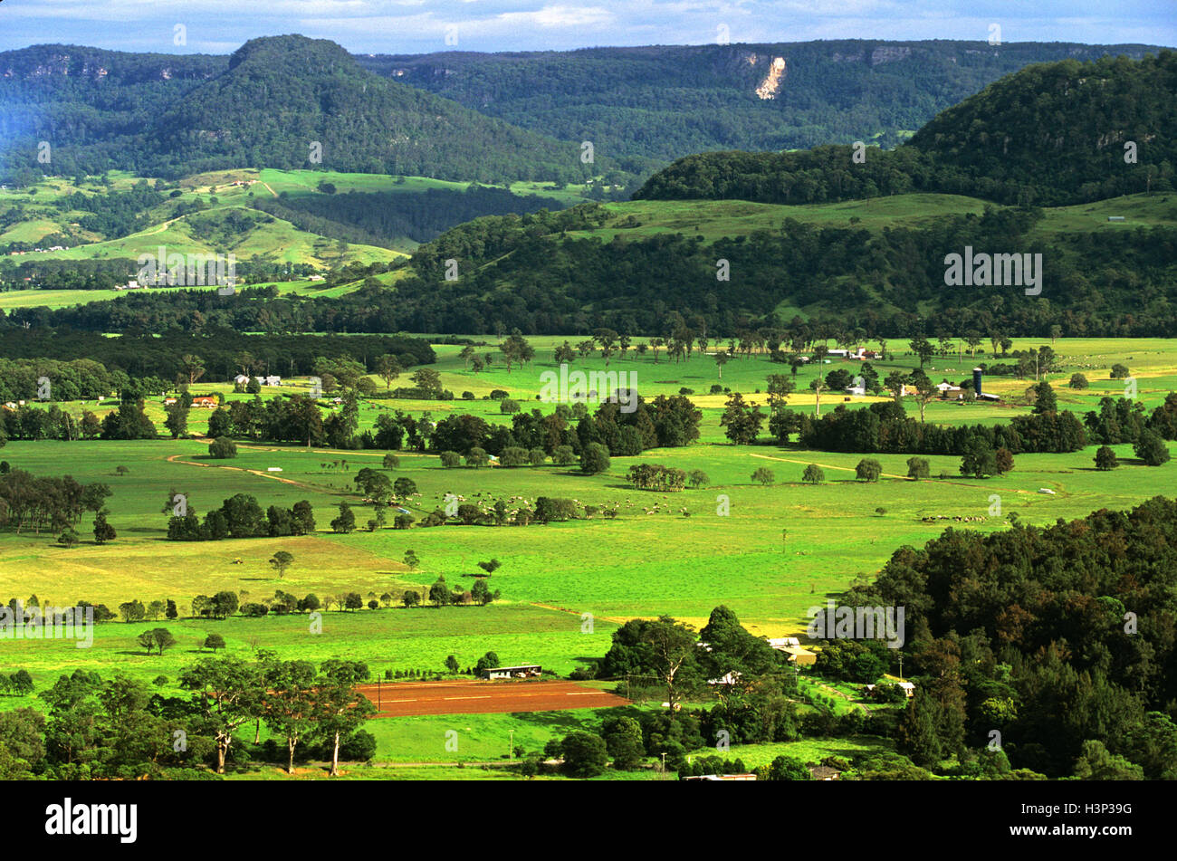 Kangaroo Valley dairy area agricola, Foto Stock