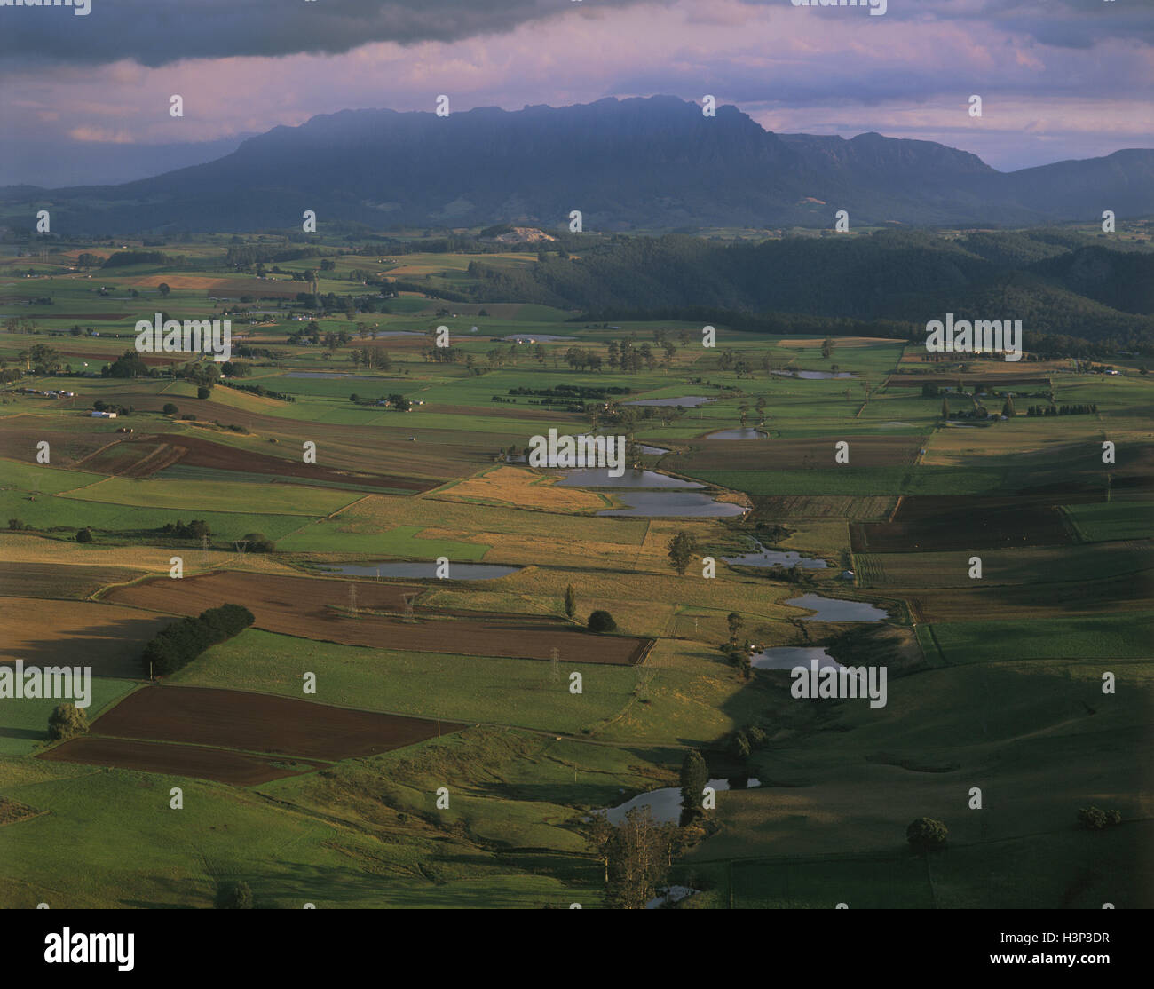 Terreni agricoli con Mount Roland oltre, Foto Stock