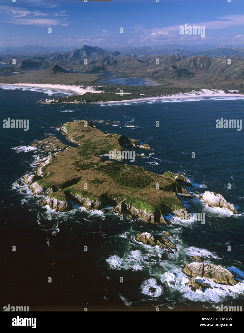 Carni di montone Bird Island con Chatfield Piont e Stephens Bay oltre. Foto Stock