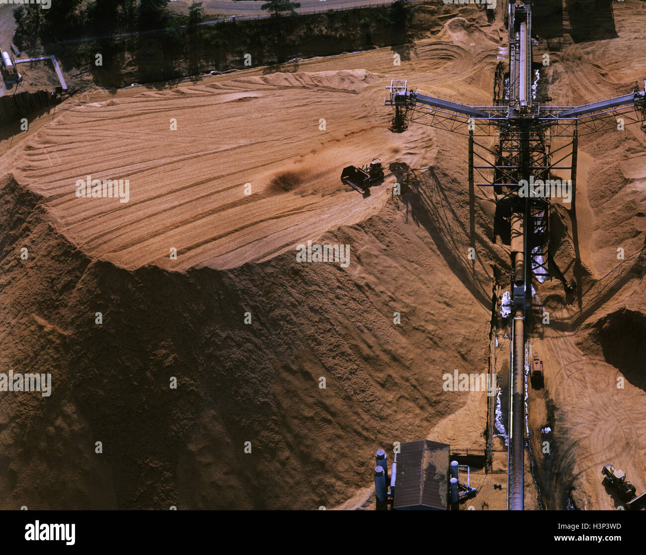 Schegge di legno per l'esportazione. Foto Stock